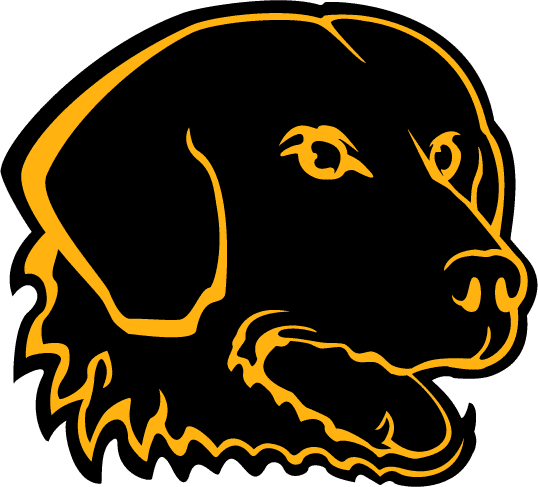 UMBC Retrievers 1997-2009 Alternate Logo t shirts iron on transfers